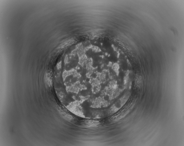 X0000112000719200908241433