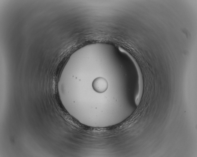 X0000112000720200908241433