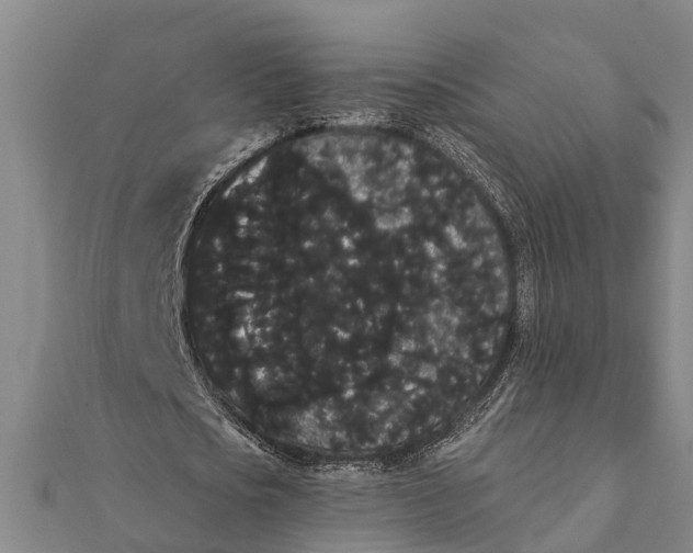 X0000112000721200908241432