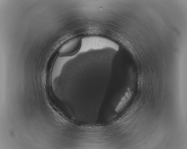 X0000112000722200908241432