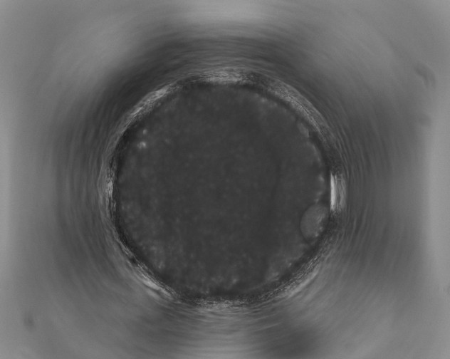 X0000112000723200908241432