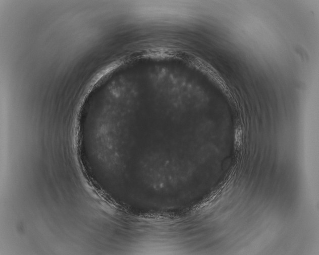 X0000112000724200908241432