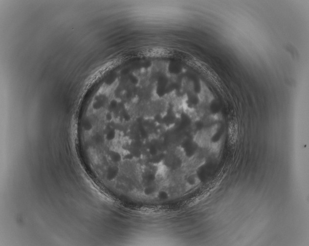 X0000112000725200908241432