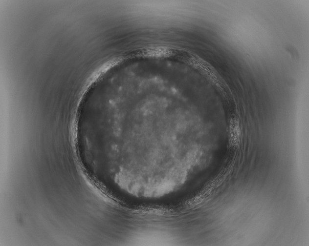 X0000112000726200908241432