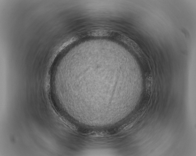 X0000112000727200908241432