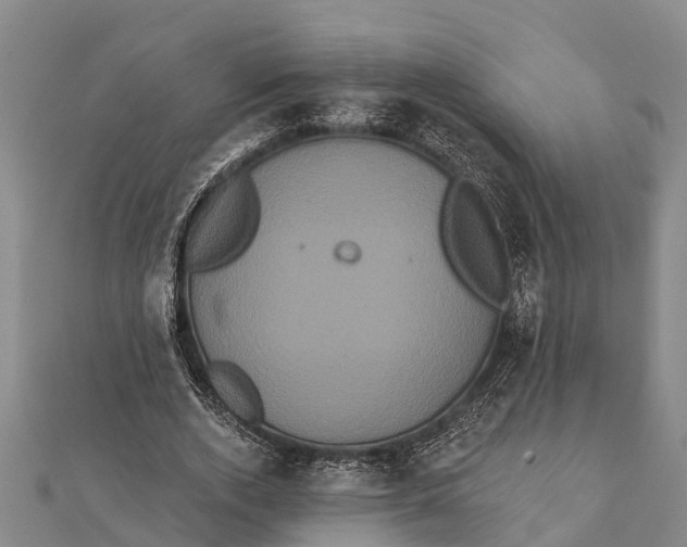 X0000112000728200908241432