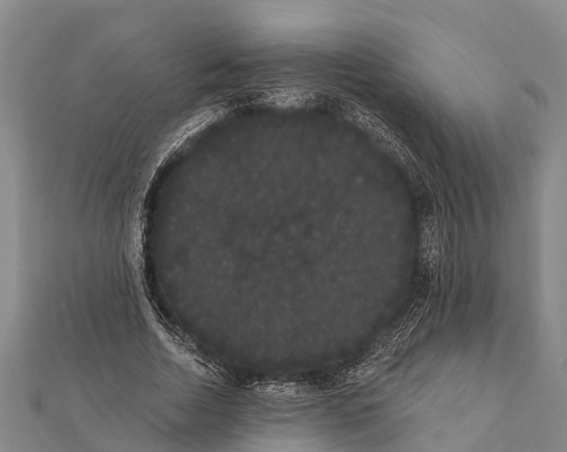 X0000112000730200908241432