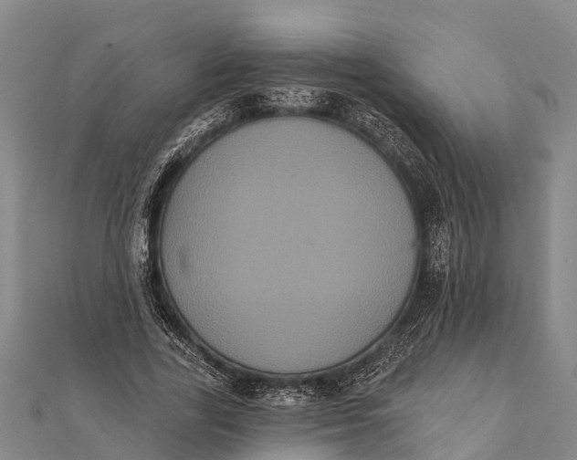 X0000112000731200908241432