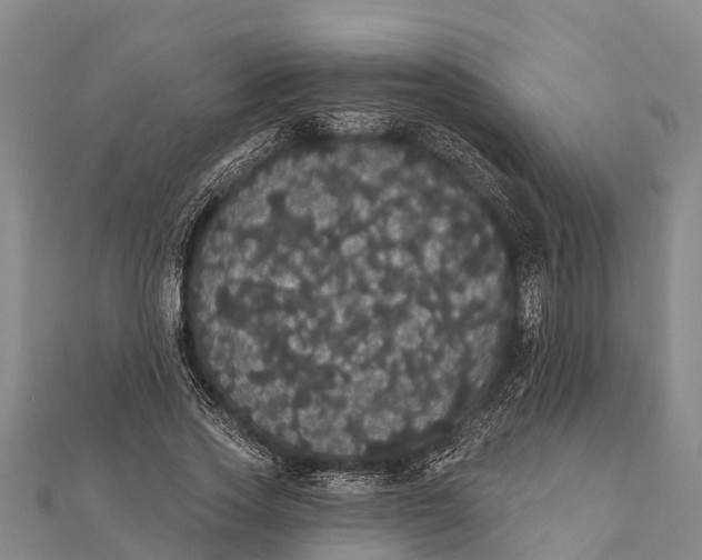 X0000112000733200908241432