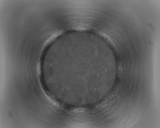 X0000112000734200908241432