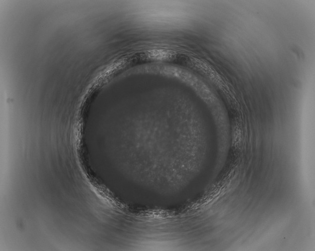 X0000112000736200908241432