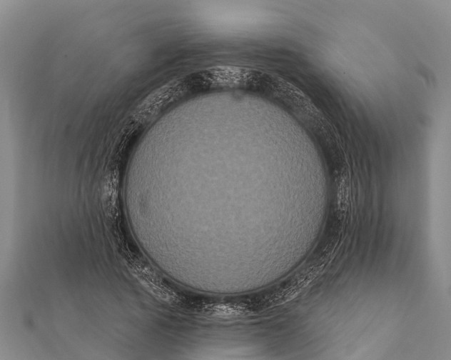 X0000112000737200908241432