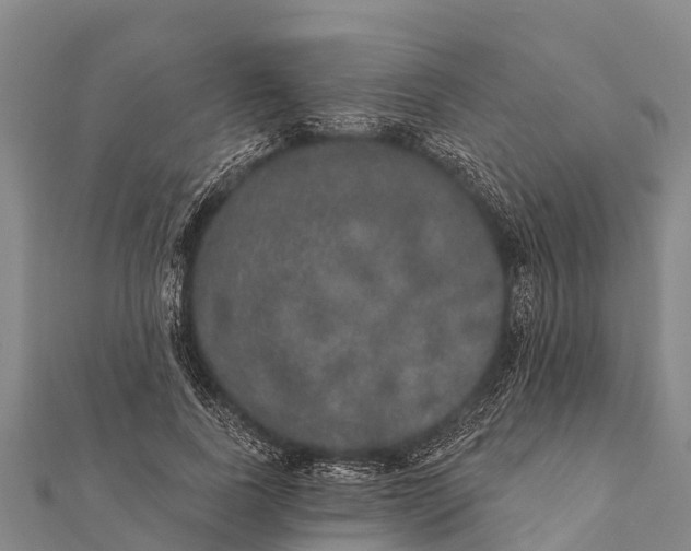 X0000112000739200908241432