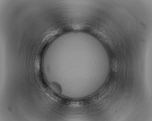 X0000112000740200908241432