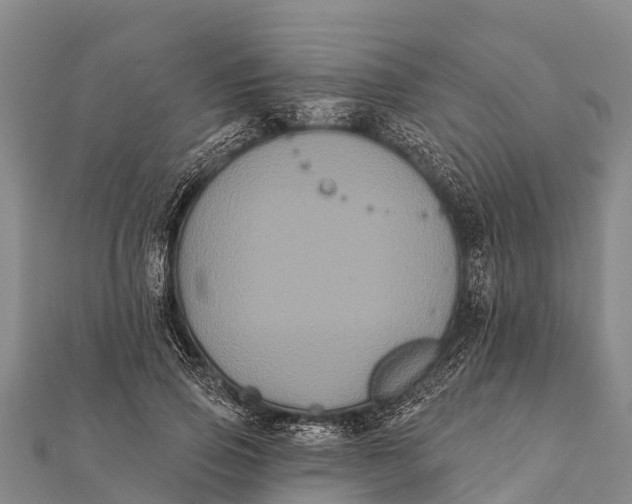 X0000112000741200908241432