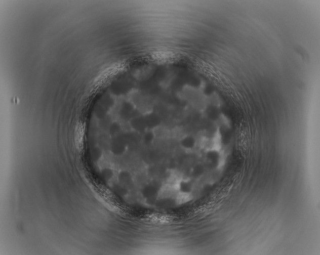 X0000112000742200908241432