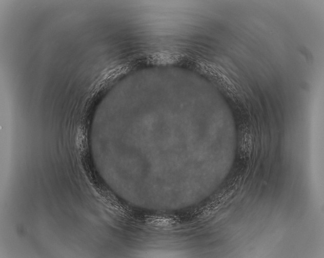 X0000112000743200908241432