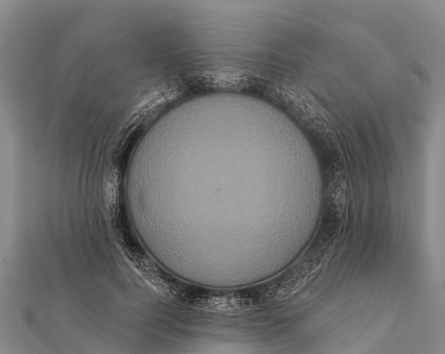 X0000112000744200908241432