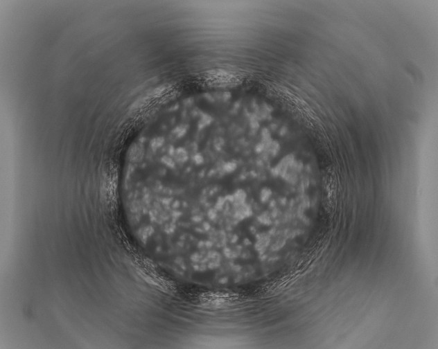 X0000112000745200908241432