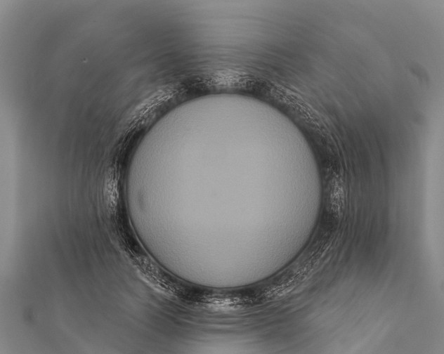 X0000112000746200908241432