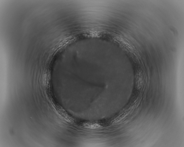 X0000112000747200908241432