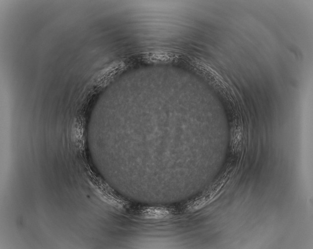 X0000112000749200908241432