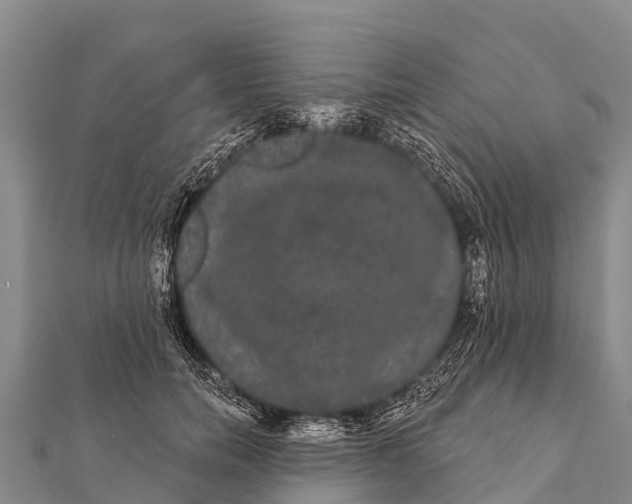 X0000112000750200908241432