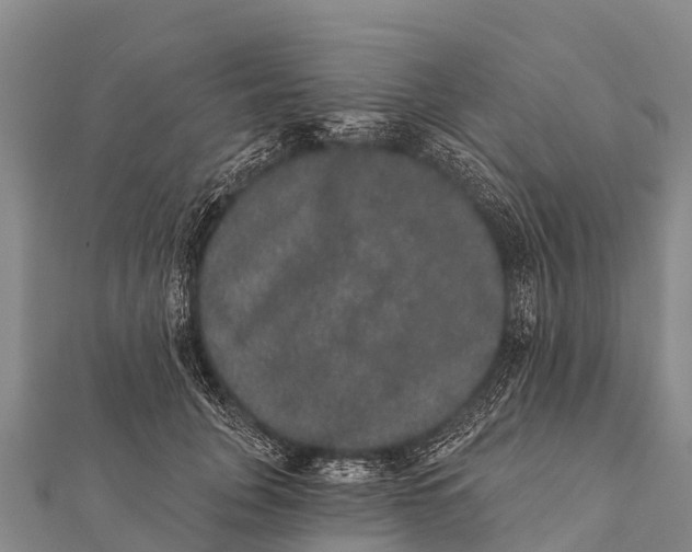 X0000112000751200908241432