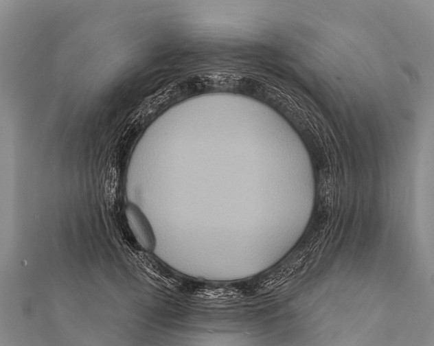 X0000112000752200908241432