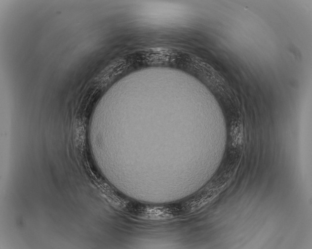 X0000112000753200908241432