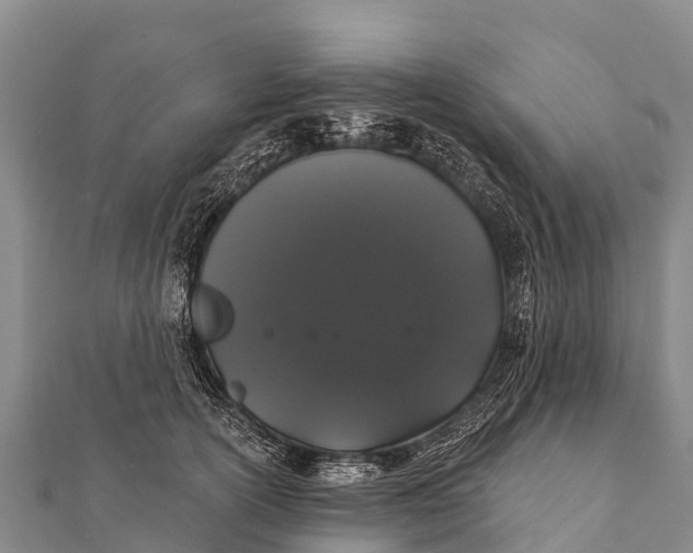 X0000112000754200908241432