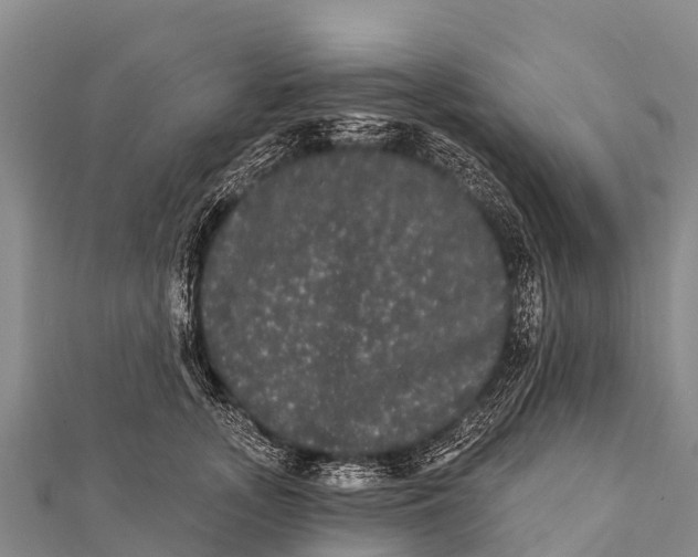 X0000112000755200908241432