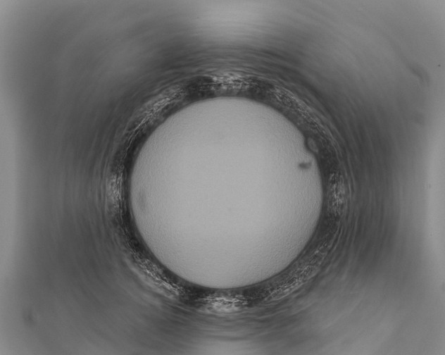 X0000112000756200908241432