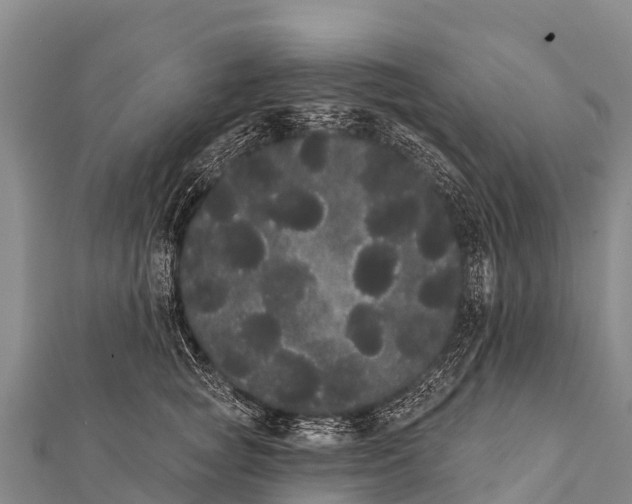 X0000112000757200908241432