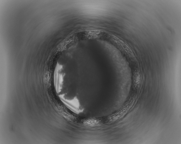 X0000112000759200908241432