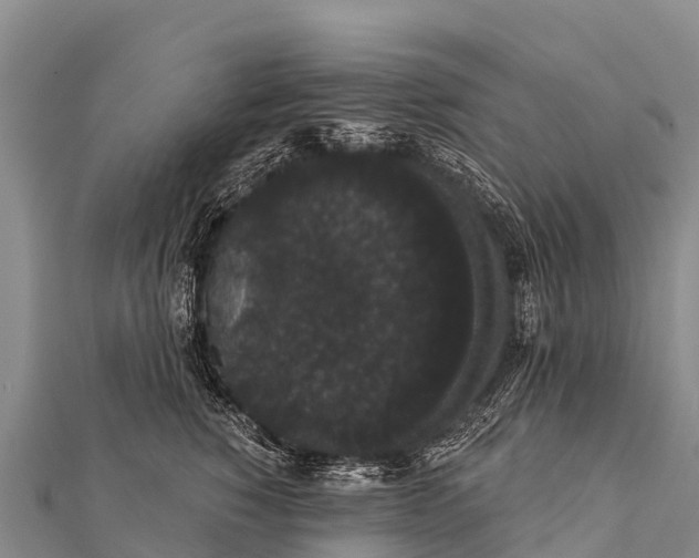 X0000112000760200908241433