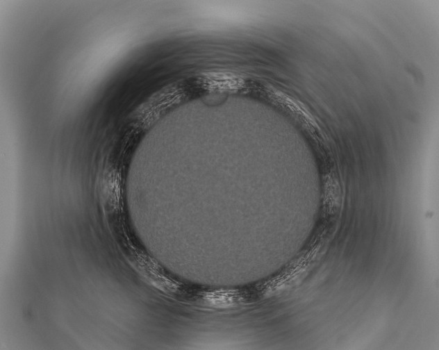 X0000112000761200908241433