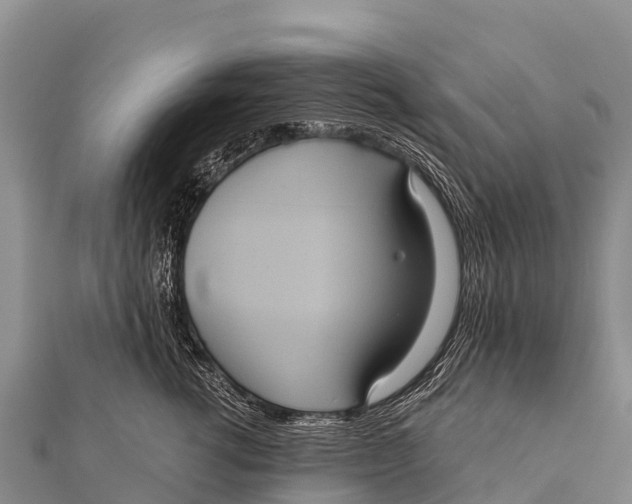 X0000112000762200908241433