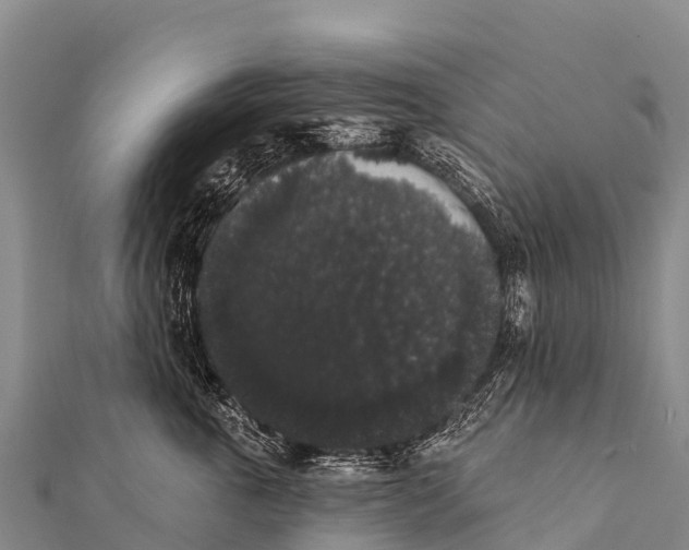 X0000112000763200908241433