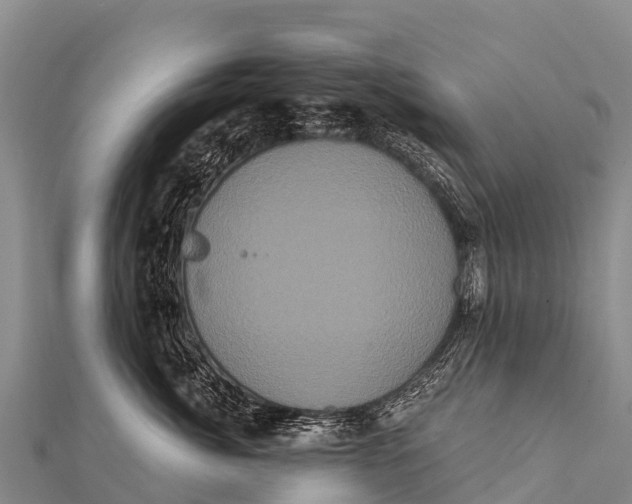 X0000112000764200908241433