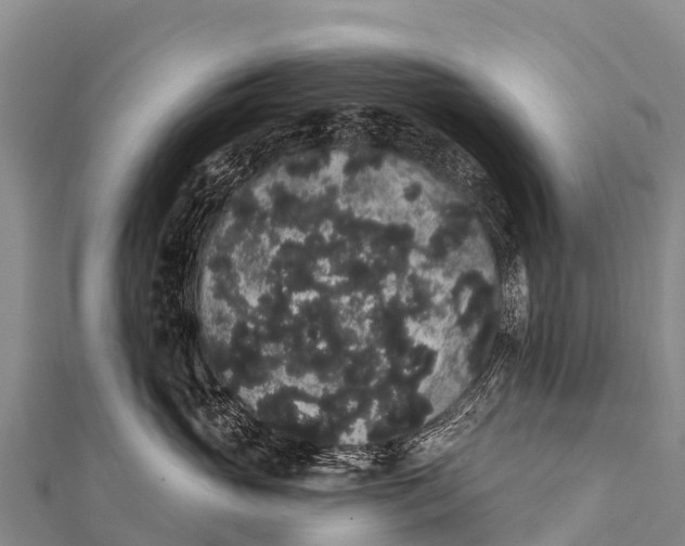 X0000112000765200908241433