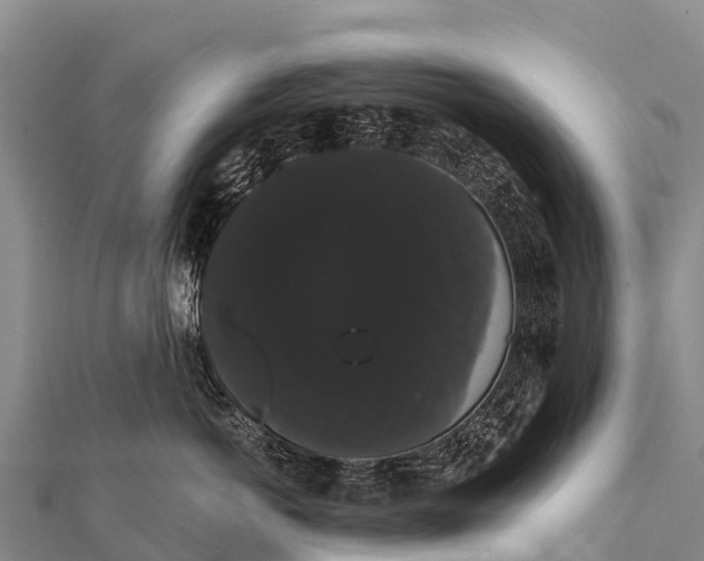 X0000112000766200908241433