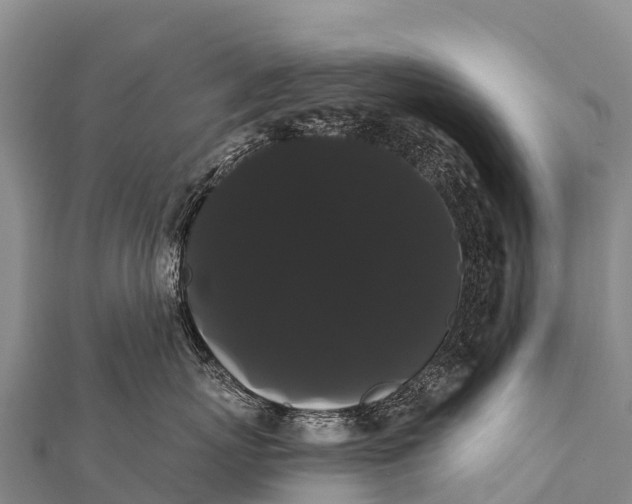 X0000112000767200908241433