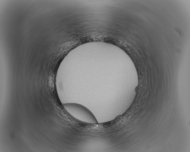 X0000112000768200908241433