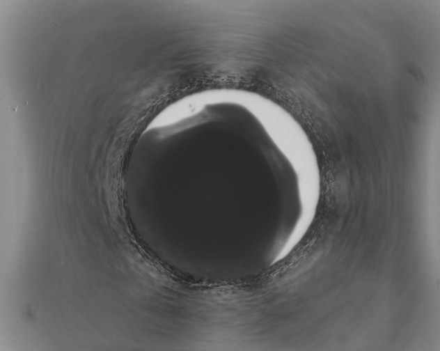 X0000112000769200908241432