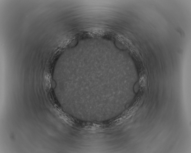 X0000112000772200908241432