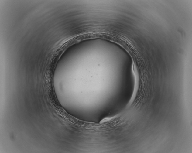 X0000112000773200908241432