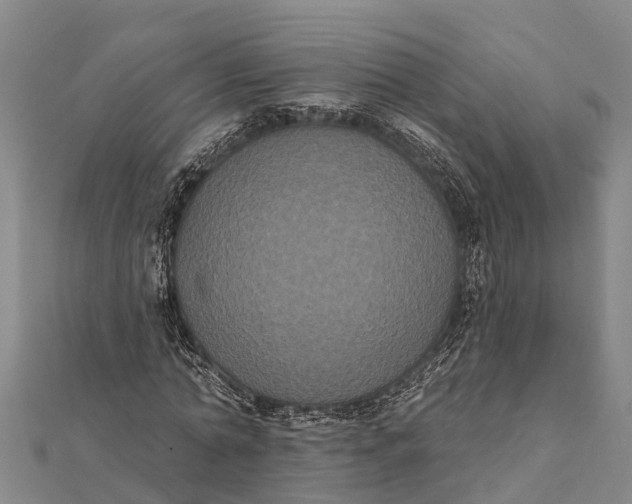 X0000112000774200908241432