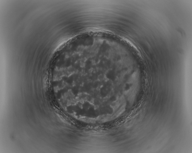 X0000112000775200908241432