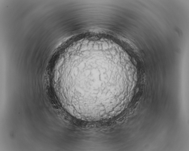 X0000112000776200908241432